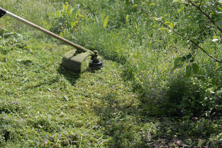 A man with a manual lawn mower mows the grass, mower closeup.の写真素材