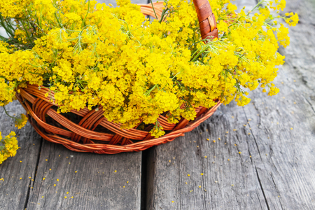 Small yellow flowers in a basket on a wooden table. Close-up.の写真素材