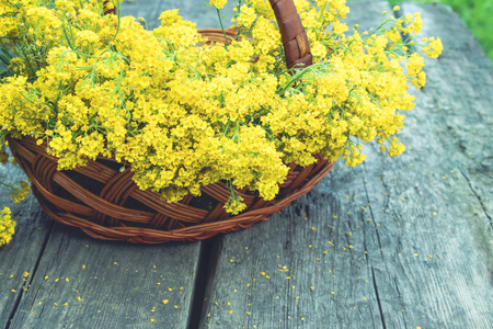 Small yellow flowers in a basket on a wooden table. Close-up.の写真素材