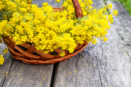 A bouquet of small yellow flowers in a wooden basket on old boards. Close-up.の写真素材