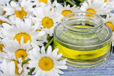 Chamomile essential oil in a glass bottle with a pipette stands on blue boards near chamomile flowers.の写真素材