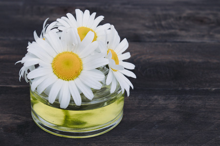 Chamomile essential oil in a glass jar close-up on a table with daisies.の写真素材