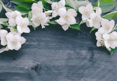 White jasmine flowers and green leaves lie on a wooden background. There is a place for your text. Copy space.の写真素材