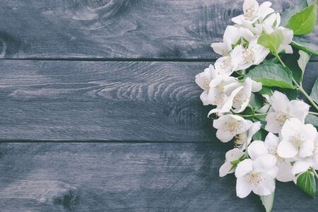 White jasmine flowers and green leaves lie on a wooden background. There is a place for your text....