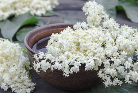 White flowers and leaves of elderberry lie on a bowl on a rustic wooden background. The flowers of Sambucus species are used to produce elderflower cordial, homemade sweet syrup or juice.の写真素材