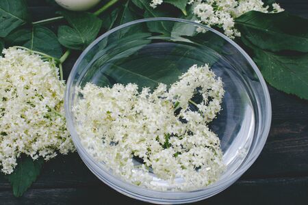 White flowers and leaves of elderberry lie on a bowl on a rustic wooden background. The flowers of Sambucus species are used to produce elderflower cordial, homemade sweet syrup or juice.の写真素材