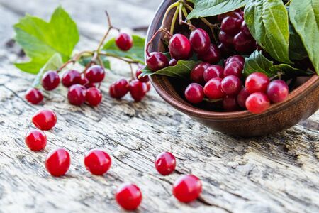 Ripe red viburnum berries in a round bowl on a wooden table. Viburnum on a wooden background. Autumn...