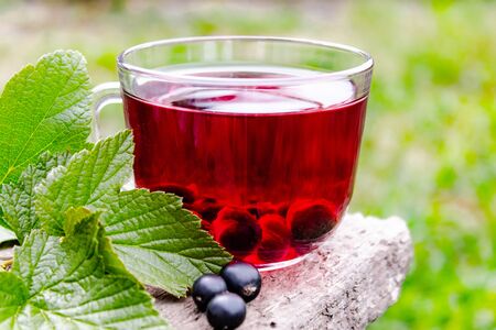 Glass cup of fruit tea with blackcurrant berries on a wooden table near green leaves and berries of currant. Close-up.の写真素材