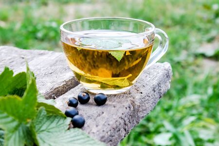A cup of tea with black currant leaves. Tea with currants on a wooden table in the open air.の写真素材