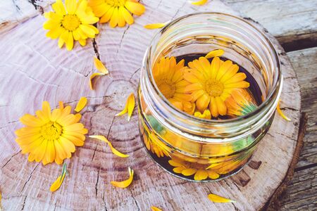 Transparent jar of calendula tincture with a fresh plant of calendula officinalis. Extract of tincture of calendula. Medicinal plants.の写真素材