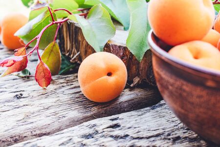 Ripe yellow apricots in a bowl on a wooden table near green leaves. Close-up.の写真素材