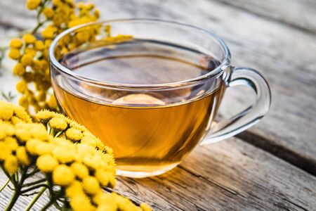 Cup of tea with tansy medicinal herbs near yellow tansy flowers on a wooden table. Healing herbs. Phytotherapy.の写真素材
