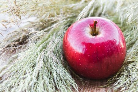Ripe red apple lies on a wooden table. Vitamins and a healthy diet. Vegetarian concept. Close-up.