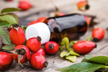 Rosehip seed essential oil in a bottle near ripe red rosehip berries. Tincture or essential oil with rose hips. Spa herbal medicine.の写真素材