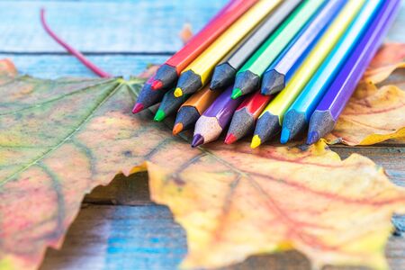 Multi-colored pencils lie on a yellow autumn leaf on a background of old blue boards. School conceptの写真素材
