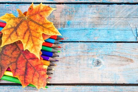 Multi-colored pencils and yellow autumn leaves on a background of old blue boards. Copy space for inscription. School conceptの写真素材