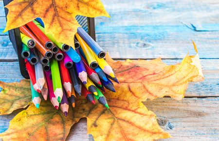 Multi-colored pencils lie on a yellow autumn leaf on a background of old blue boards. School conceptの写真素材