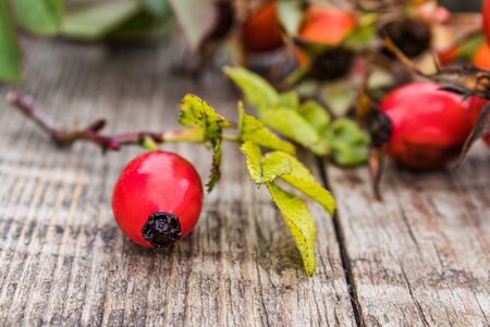 Red berries and rosehip leaves on a wooden table. Close-up.の写真素材