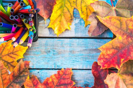 Multi-colored pencils and yellow autumn leaves on a background of old blue boards. Copy space for...