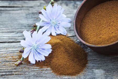 Blue chicory flower and a bowl of instant chicory powder on an old wooden table. Chicory powder. The concept of healthy eating a drink. Coffee substitute.の写真素材