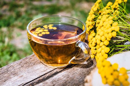 Herbal tea with tansy in a glass mug and yellow tansy flowers on the surface of a wooden table on a background of nature. Tansy Herbal tea. Healing herbs. Phytotea.の写真素材