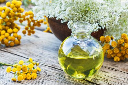 Tansy and yarrow essential oil in a glass bottle near yellow tansy and white yarrow on an old wooden background. Herbal medicine concept. spaの写真素材