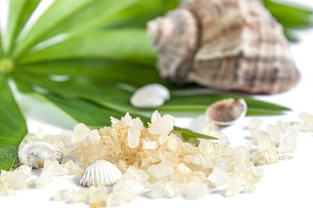 Spa concept of beauty treatments and procedures. Sea salt and sea shells close-up on green leaves on a white background. Copyspase flatlayの写真素材