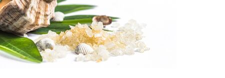 Spa banner concept of beauty treatments and procedures. Sea salt and sea shells on a green leaf on a white background. Copyspase flatlayの写真素材