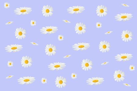 Flower arrangement of daisies on a green background, top view, flat position. Spring, summer concept.の写真素材