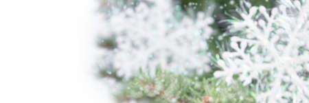 Blurred background of green spruce branches with white snowflakes on a white background. Christmas composition on a white background with copy space.の写真素材