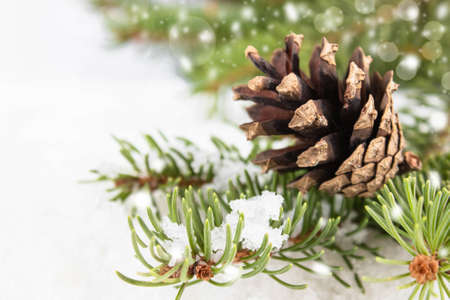 New Year card banner with Christmas decorations on a white background with place for text. Christmas compositionの写真素材