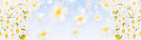 Spring or summer banner background with green leaves on blue sky background, background with selective focusの写真素材