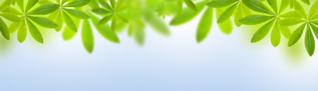 Spring or summer banner background with green leaves on blue sky background, background with selective focusの写真素材