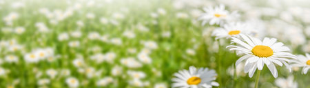 White and red hearts on a blurred red background. Greeting cards, invitations, celebration conceptの写真素材