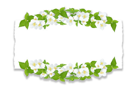 Round frame from white chamomile flowers on a white background. Mock up greeting card with daisies.の写真素材