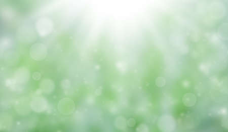 Summer or autumn soft colored abstract background. Bokeh on a green blurred background.の写真素材