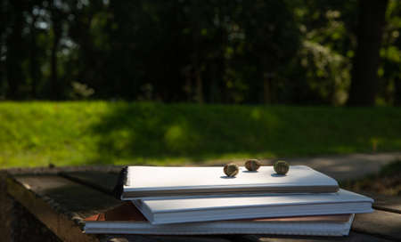 acorns lie on a stack of books with a notebook on a park bench on a sunny dayの写真素材
