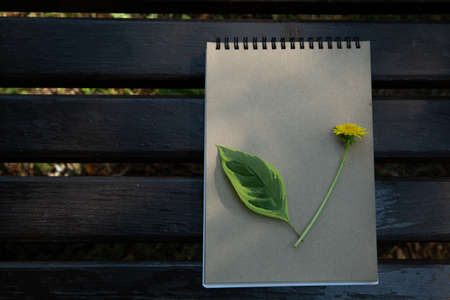 green leaf and dandelion lies on a notebook on a park bench