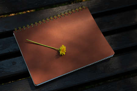a dandelion lie on a leather notebook on a park benchの写真素材