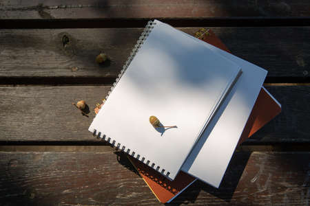 acorns lie on a stack of books with a notebook on a park bench on a sunny dayの写真素材