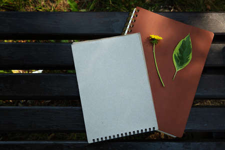 green leaf and dandelion lies on a notebook on a park benchの写真素材