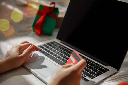 girl enters credit card details into laptop while shoppingの写真素材