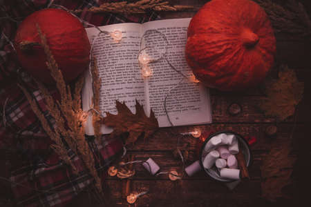 book and pumpkins lie on the table with a cup of cocoa and marshmallowsの写真素材