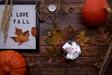 cocoa stands on a table with pumpkins and a board with an inscriptionの写真素材