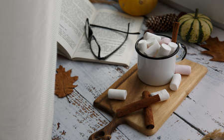 on the windowsill cocoa with marshmallows book pumpkin and cinnamonの写真素材