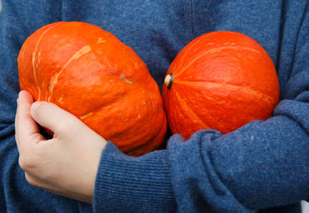 child in cashmere sweater holding ripe orange pumpkinsの写真素材