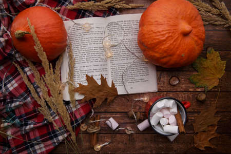 two pumpkins lie on the table next to a book and cocoa with marshmallowsの写真素材