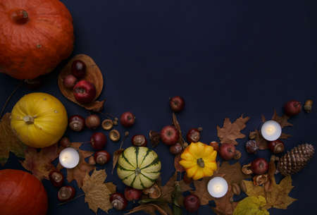 Autumn composition on deep blue background .Mockupの写真素材
