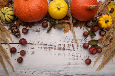 Autumn composition with pumpkins, chestnuts and fallen leaves on a white table.の写真素材