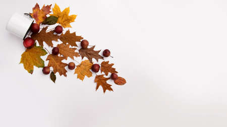 autumn composition with a mug of yellow leaves and red apples